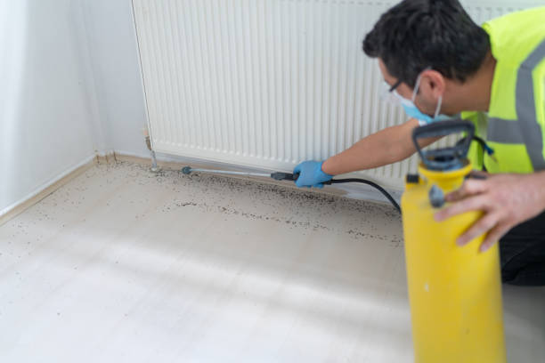 Best Mosquito Control Services  in Milton, PA